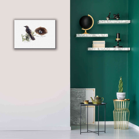 Image of 'Bird & Nest Study I' by Bruce Dean, Giclee Canvas Wall Art,26x18