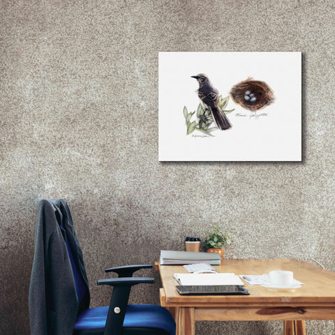 Image of 'Bird & Nest Study I' by Bruce Dean, Giclee Canvas Wall Art,34x26