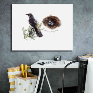 'Bird & Nest Study I' by Bruce Dean, Giclee Canvas Wall Art,34x26