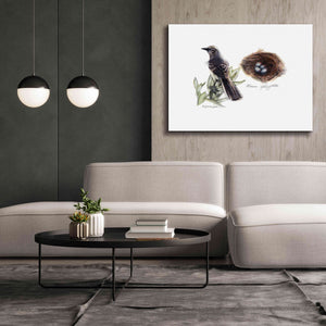 'Bird & Nest Study I' by Bruce Dean, Giclee Canvas Wall Art,54x40