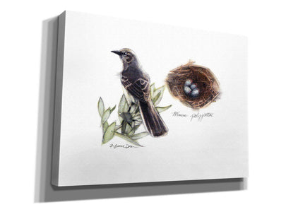 'Bird & Nest Study I' by Bruce Dean, Giclee Canvas Wall Art