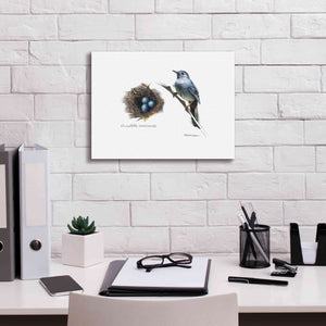 'Bird & Nest Study II' by Bruce Dean, Giclee Canvas Wall Art,16x12