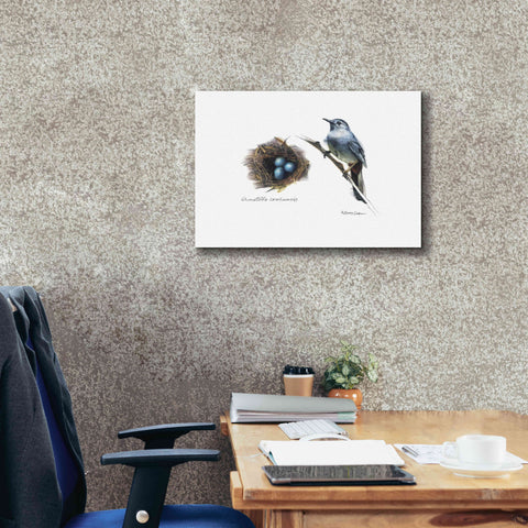 Image of 'Bird & Nest Study II' by Bruce Dean, Giclee Canvas Wall Art,26x18