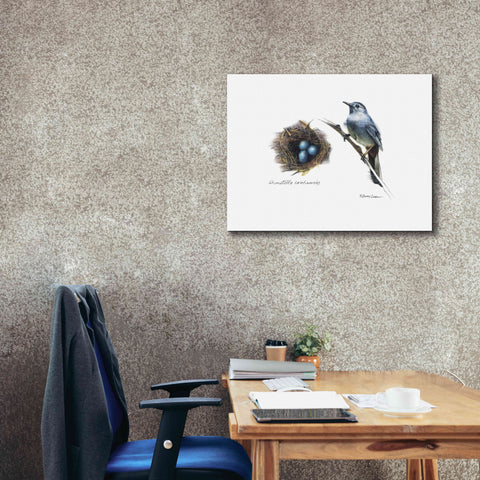 Image of 'Bird & Nest Study II' by Bruce Dean, Giclee Canvas Wall Art,34x26
