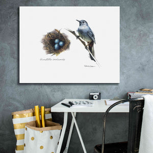 'Bird & Nest Study II' by Bruce Dean, Giclee Canvas Wall Art,34x26