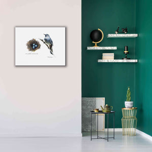'Bird & Nest Study II' by Bruce Dean, Giclee Canvas Wall Art,34x26