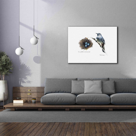Image of 'Bird & Nest Study II' by Bruce Dean, Giclee Canvas Wall Art,54x40