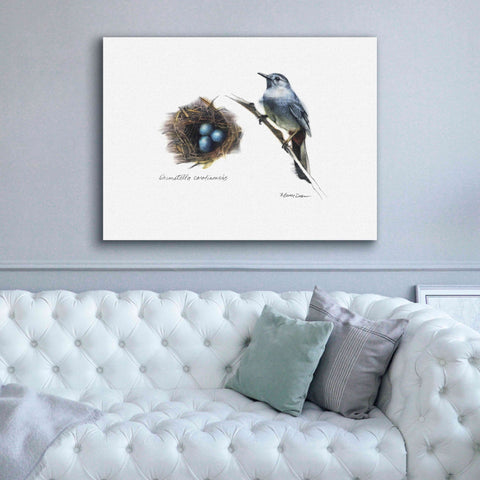 Image of 'Bird & Nest Study II' by Bruce Dean, Giclee Canvas Wall Art,54x40
