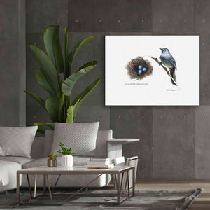 'Bird & Nest Study II' by Bruce Dean, Giclee Canvas Wall Art,54x40