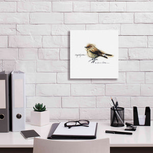 'Songbird Study I' by Bruce Dean, Giclee Canvas Wall Art,12x12