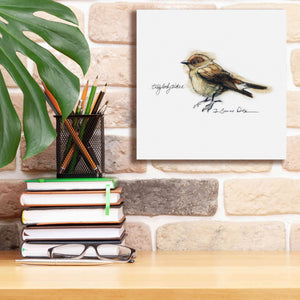 'Songbird Study I' by Bruce Dean, Giclee Canvas Wall Art,12x12