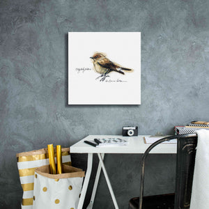 'Songbird Study I' by Bruce Dean, Giclee Canvas Wall Art,18x18