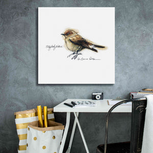'Songbird Study I' by Bruce Dean, Giclee Canvas Wall Art,26x26
