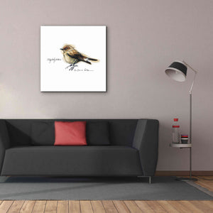 'Songbird Study I' by Bruce Dean, Giclee Canvas Wall Art,37x37