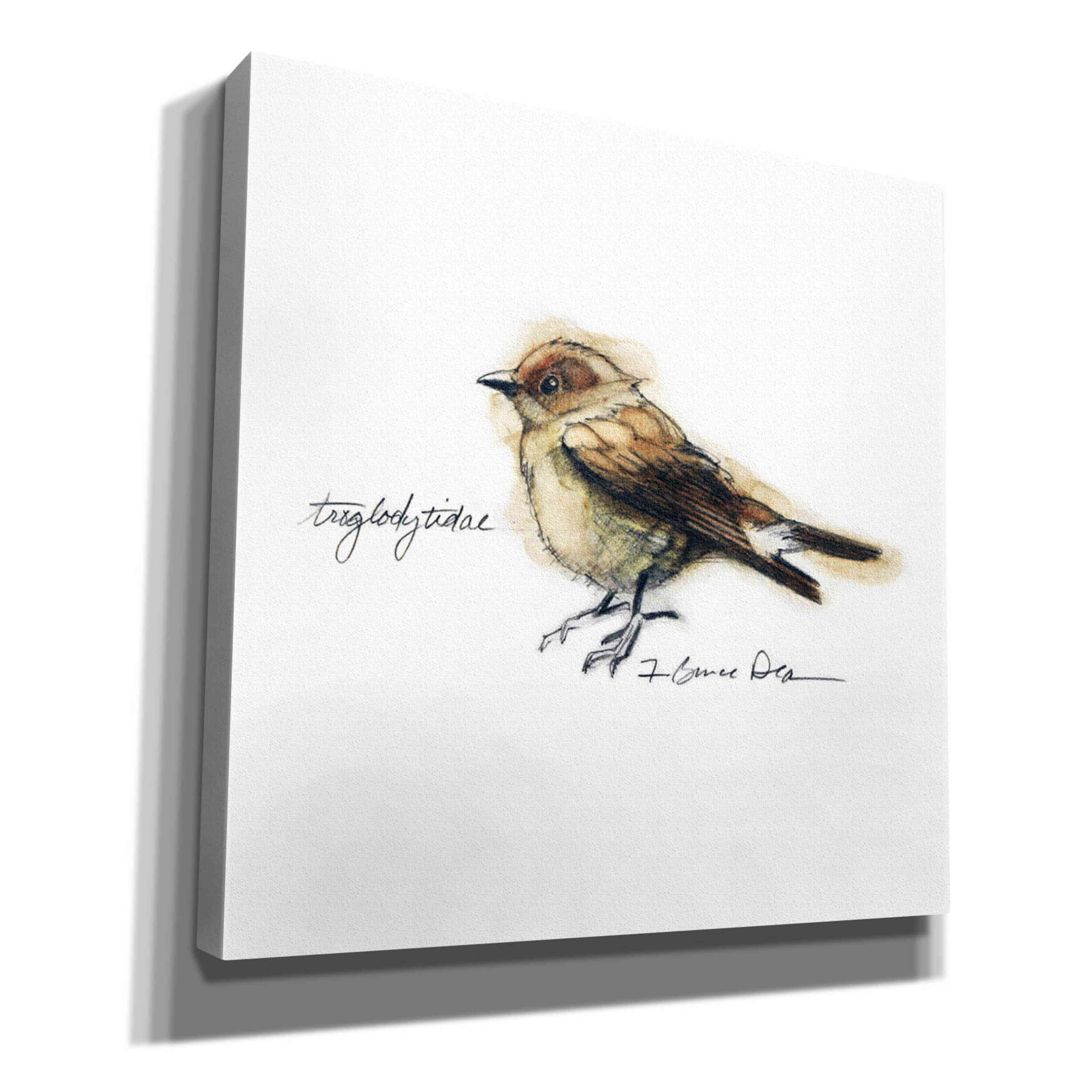 'Songbird Study I' by Bruce Dean, Giclee Canvas Wall Art