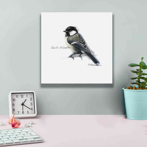 'Songbird Study II' by Bruce Dean, Giclee Canvas Wall Art,12x12