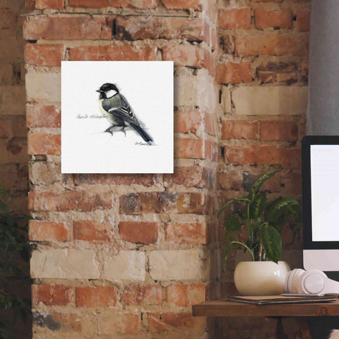 Image of 'Songbird Study II' by Bruce Dean, Giclee Canvas Wall Art,12x12