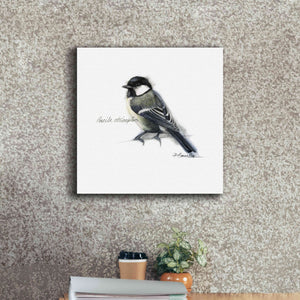 'Songbird Study II' by Bruce Dean, Giclee Canvas Wall Art,18x18