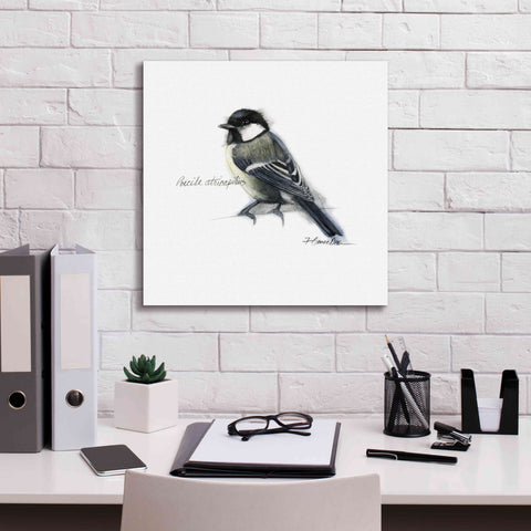 Image of 'Songbird Study II' by Bruce Dean, Giclee Canvas Wall Art,18x18