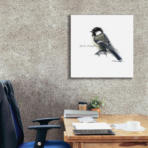 Image of 'Songbird Study II' by Bruce Dean, Giclee Canvas Wall Art,26x26