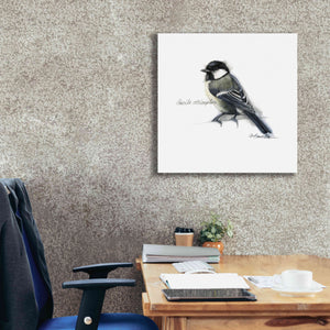 'Songbird Study II' by Bruce Dean, Giclee Canvas Wall Art,26x26