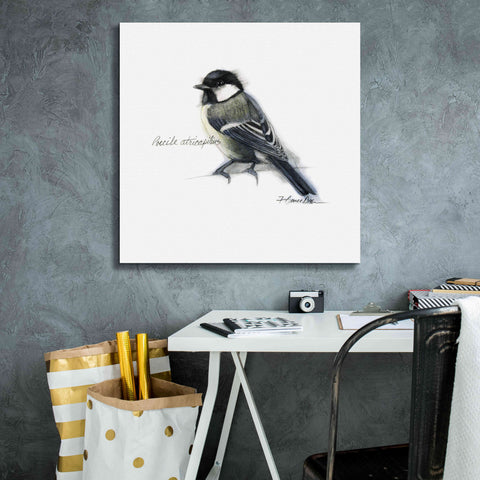 Image of 'Songbird Study II' by Bruce Dean, Giclee Canvas Wall Art,26x26