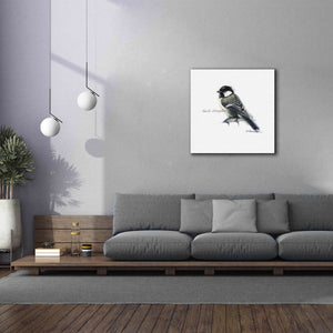 'Songbird Study II' by Bruce Dean, Giclee Canvas Wall Art,37x37