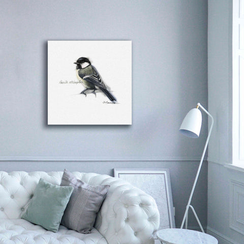 Image of 'Songbird Study II' by Bruce Dean, Giclee Canvas Wall Art,37x37