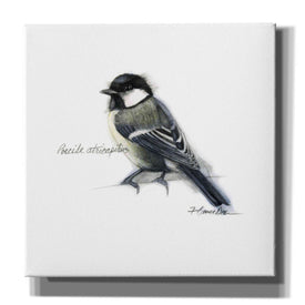 'Songbird Study II' by Bruce Dean, Giclee Canvas Wall Art