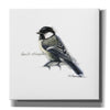 'Songbird Study II' by Bruce Dean, Giclee Canvas Wall Art