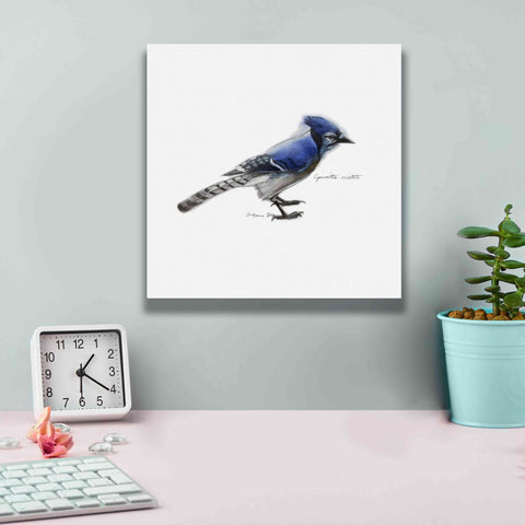 Image of 'Songbird Study III' by Bruce Dean, Giclee Canvas Wall Art,12x12
