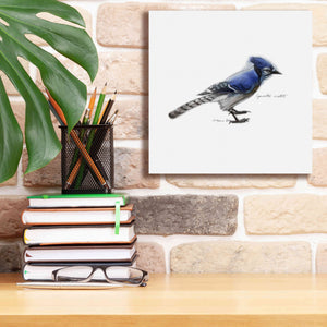'Songbird Study III' by Bruce Dean, Giclee Canvas Wall Art,12x12