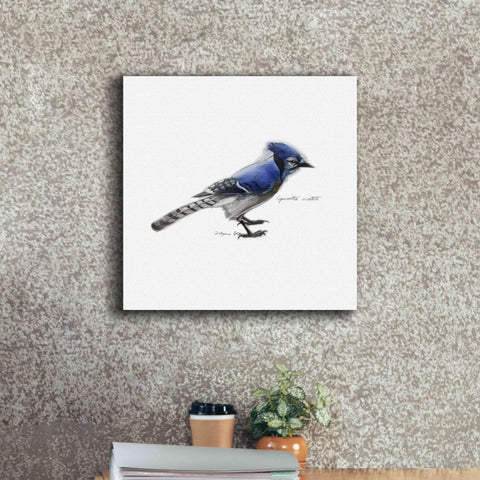 Image of 'Songbird Study III' by Bruce Dean, Giclee Canvas Wall Art,18x18