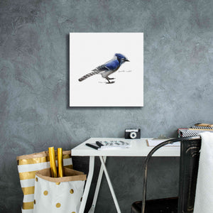 'Songbird Study III' by Bruce Dean, Giclee Canvas Wall Art,18x18