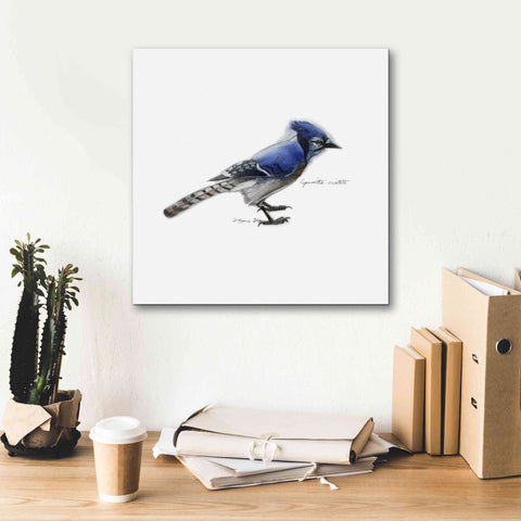 Image of 'Songbird Study III' by Bruce Dean, Giclee Canvas Wall Art,18x18