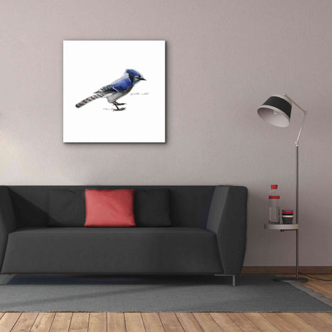 Image of 'Songbird Study III' by Bruce Dean, Giclee Canvas Wall Art,37x37