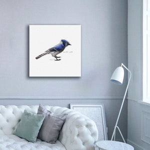 'Songbird Study III' by Bruce Dean, Giclee Canvas Wall Art,37x37