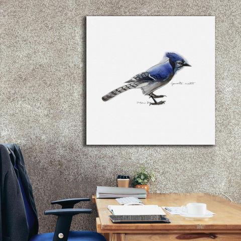 Image of 'Songbird Study III' by Bruce Dean, Giclee Canvas Wall Art,37x37