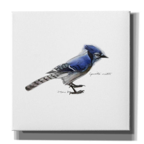 Image of 'Songbird Study III' by Bruce Dean, Giclee Canvas Wall Art