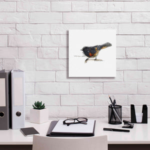 'Songbird Study IV' by Bruce Dean, Giclee Canvas Wall Art,12x12