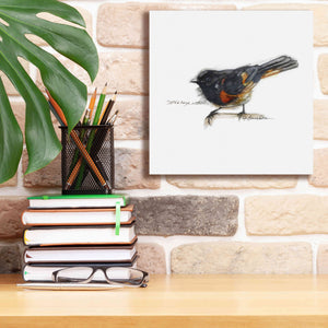 'Songbird Study IV' by Bruce Dean, Giclee Canvas Wall Art,12x12