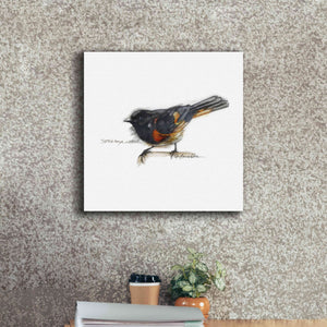 'Songbird Study IV' by Bruce Dean, Giclee Canvas Wall Art,18x18