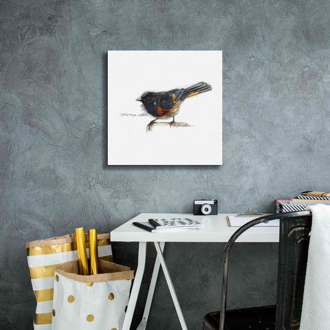 Image of 'Songbird Study IV' by Bruce Dean, Giclee Canvas Wall Art,18x18