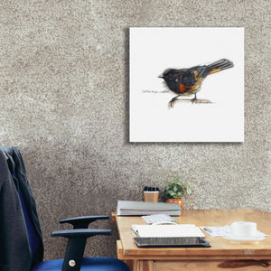 'Songbird Study IV' by Bruce Dean, Giclee Canvas Wall Art,26x26