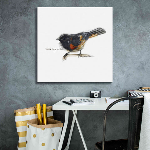Image of 'Songbird Study IV' by Bruce Dean, Giclee Canvas Wall Art,26x26