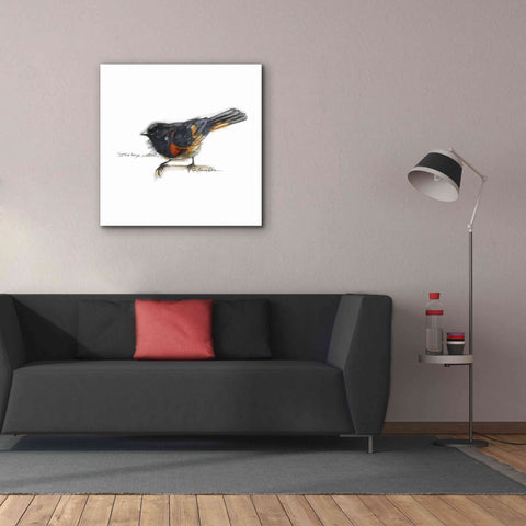 Image of 'Songbird Study IV' by Bruce Dean, Giclee Canvas Wall Art,37x37