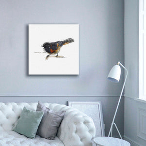 'Songbird Study IV' by Bruce Dean, Giclee Canvas Wall Art,37x37