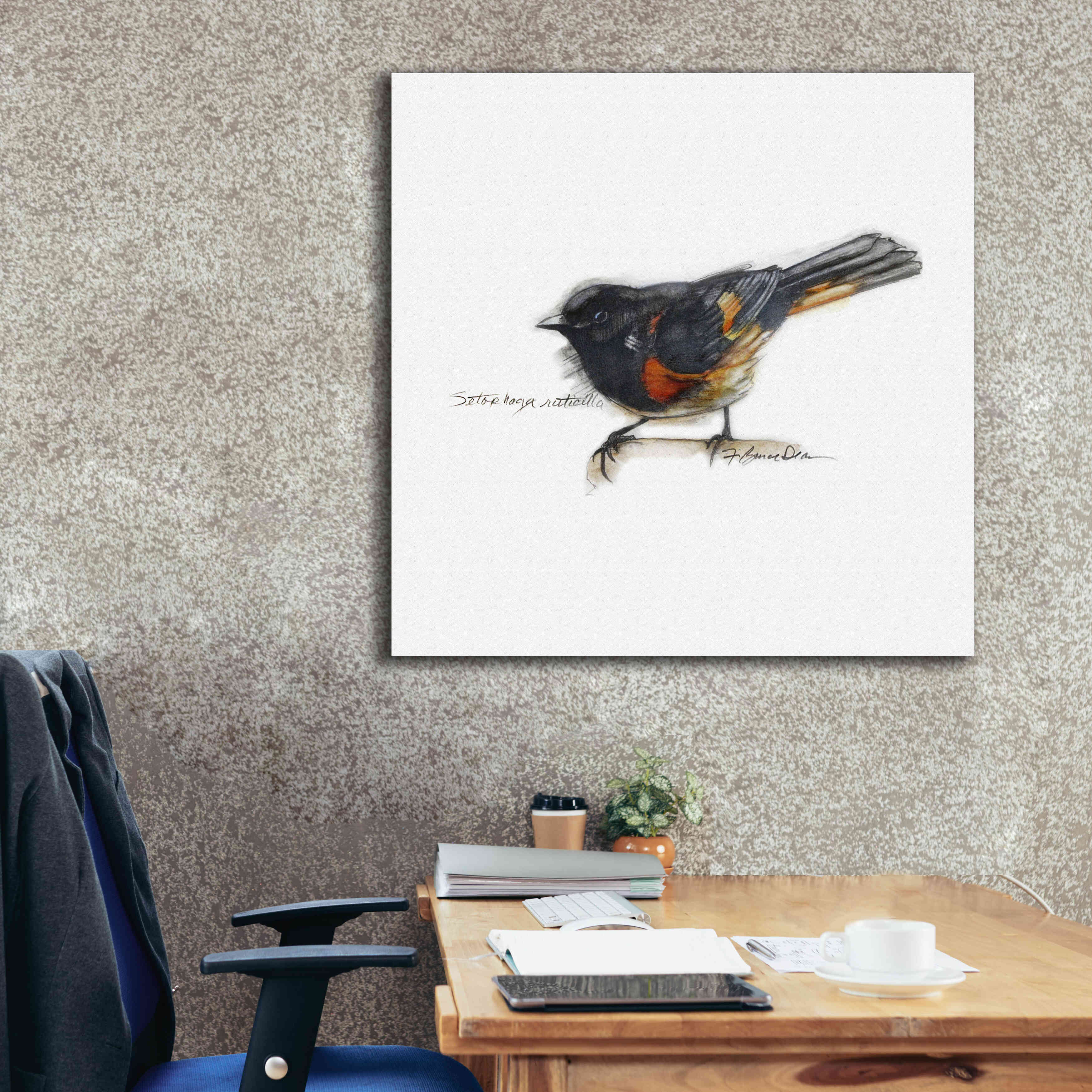 'Songbird Study IV' by Bruce Dean, Giclee Canvas Wall Art,37x37