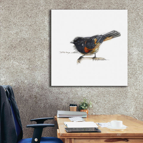 Image of 'Songbird Study IV' by Bruce Dean, Giclee Canvas Wall Art,37x37