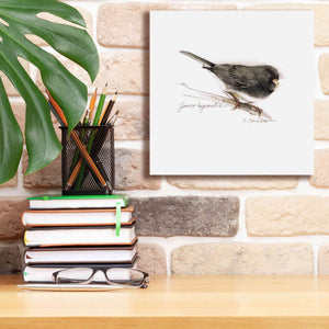 'Songbird Study V' by Bruce Dean, Giclee Canvas Wall Art,12x12